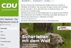 Der Wolf in der CDU-Kampagne bei Facebook. Screen Facebook, CDU Sachsen