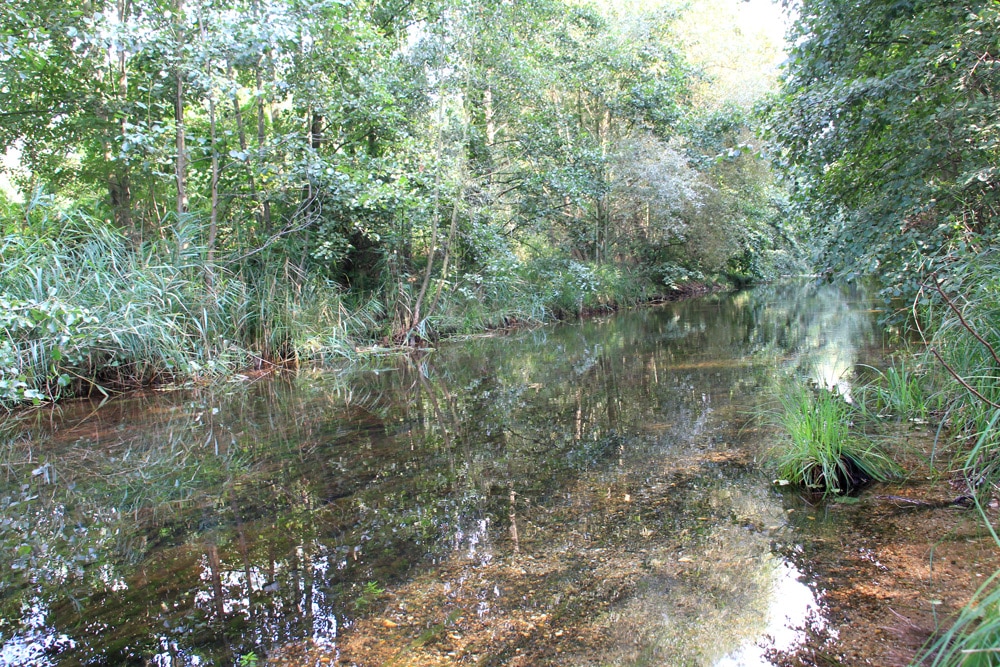 Paddler-Paradies Floßgraben. Foto: KV Grüne Leipzig