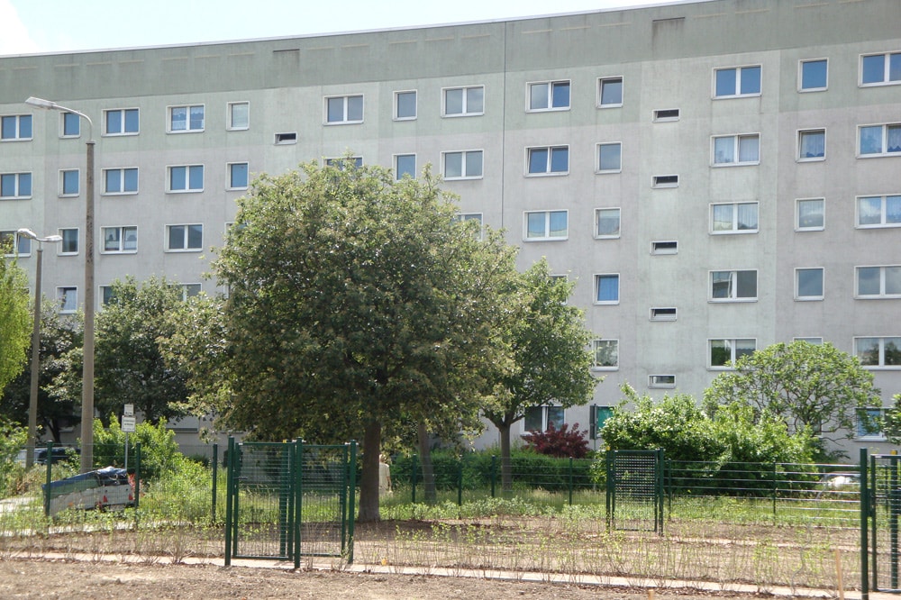Der Abriss schuf in Grünau auch Platz für beliebte Bürgergärten. Foto: Gernot Borriss
