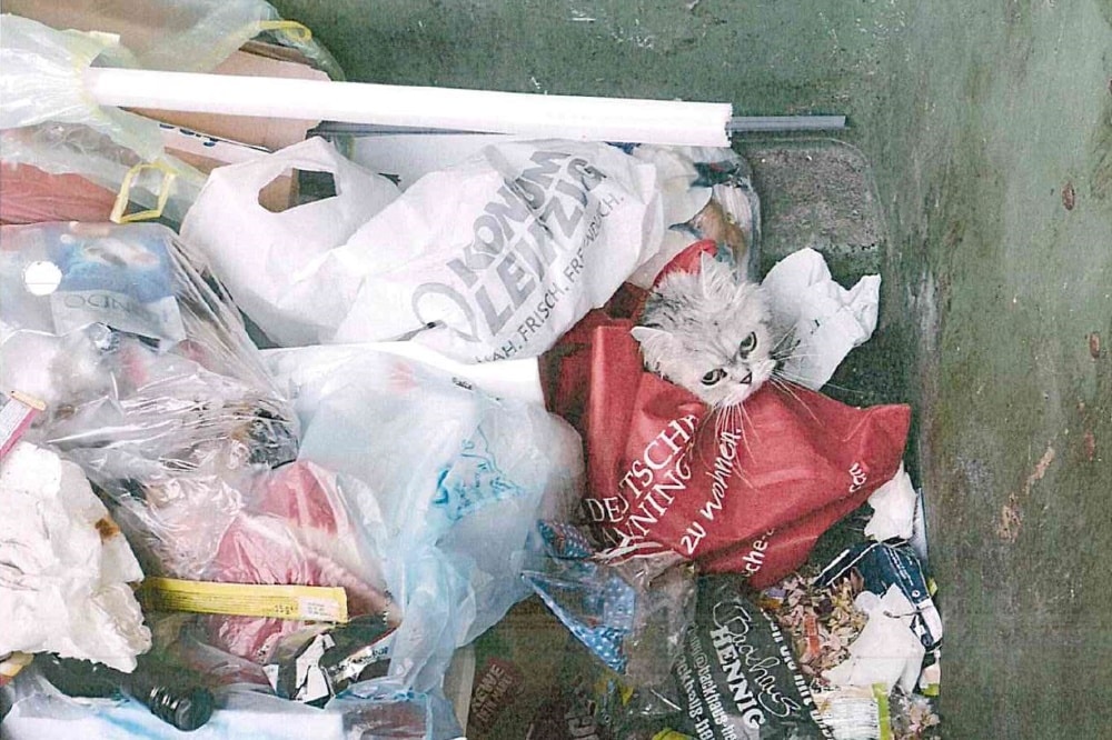 Foto: Polizeidirektion Leipzig