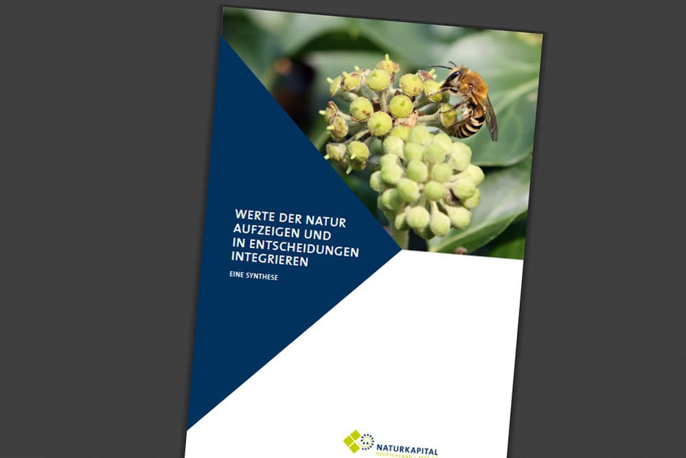 TEEB-Studie "Werte der Natur aufzeigen und in Entscheidungen integrieren". Cover: Naturkapital