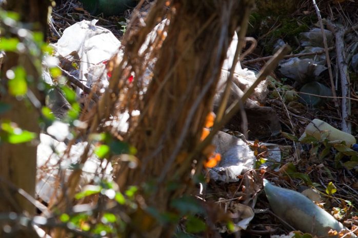 Alles schon ein bisschen &auml;lterer M&uuml;ll, der da gerade wieder ans Licht kommt. Foto: Michael Billig