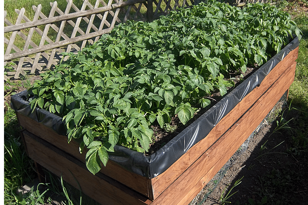 Hochbeet, Quelle: erleb-bar