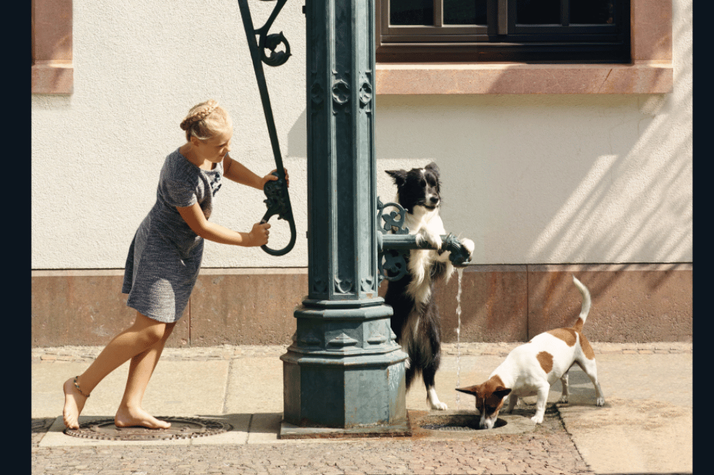 Kalenderblatt Mai, Quelle: Edition Liebich