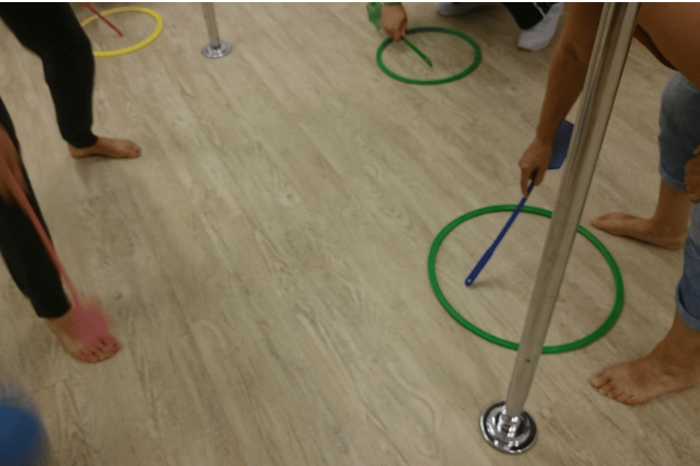 Sauball, Foto: erleb-bar