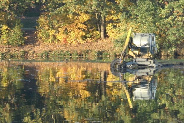 Als Zugabe: Der Bagger, der dieser Tage im Elsterbecken arbeitet. Foto: Ralf Julke