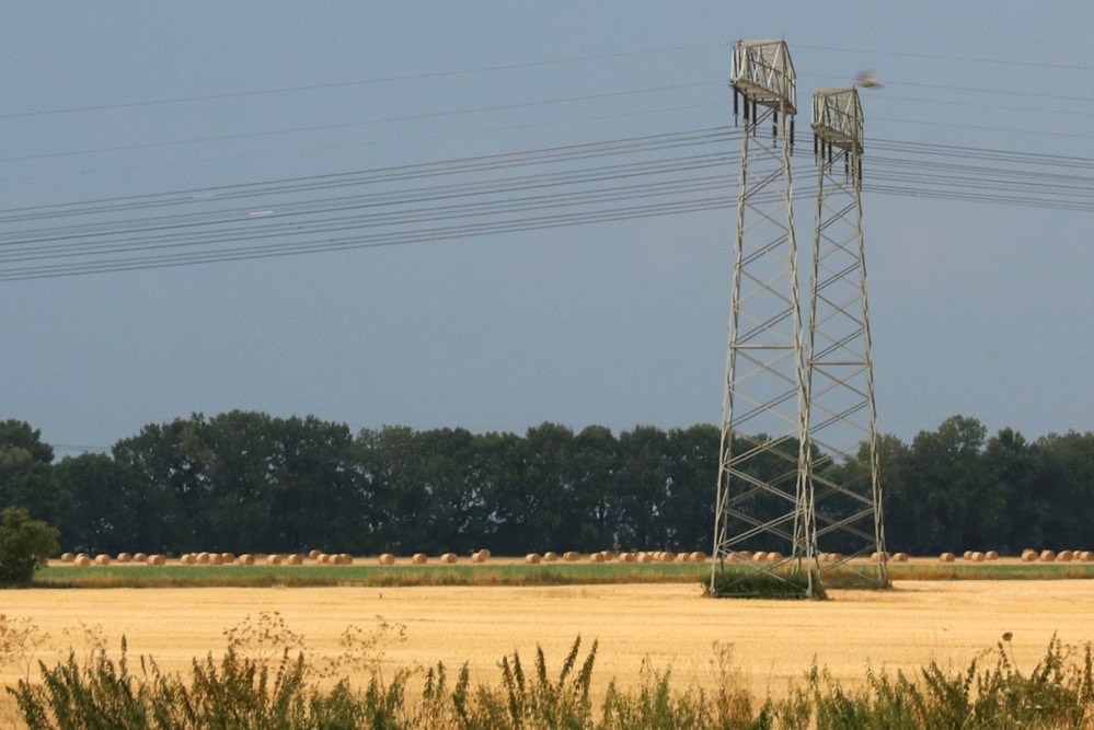 Abgeerntetes Feld bei Wiederau. Foto: Michael Freitag