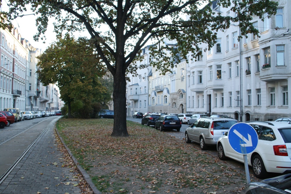 Eher Parkrand als Erlebnisort: der Gohliser Anger. Foto: Ralf Julke