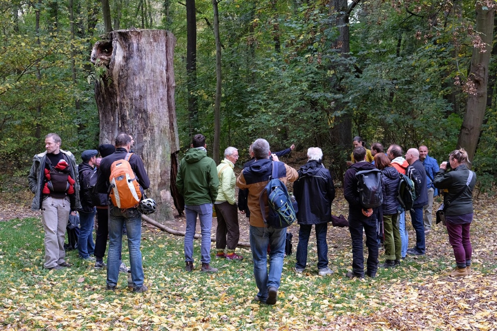 NABU-Exkursion mit Stadträten am 19. Oktober. Foto: NABU Leipzig