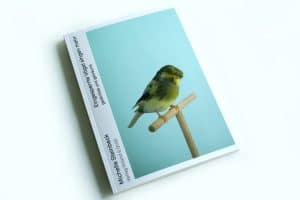 Michelle Steinbeck: Eingesperrte Vögel singen mehr. Foto: Ralf Julke