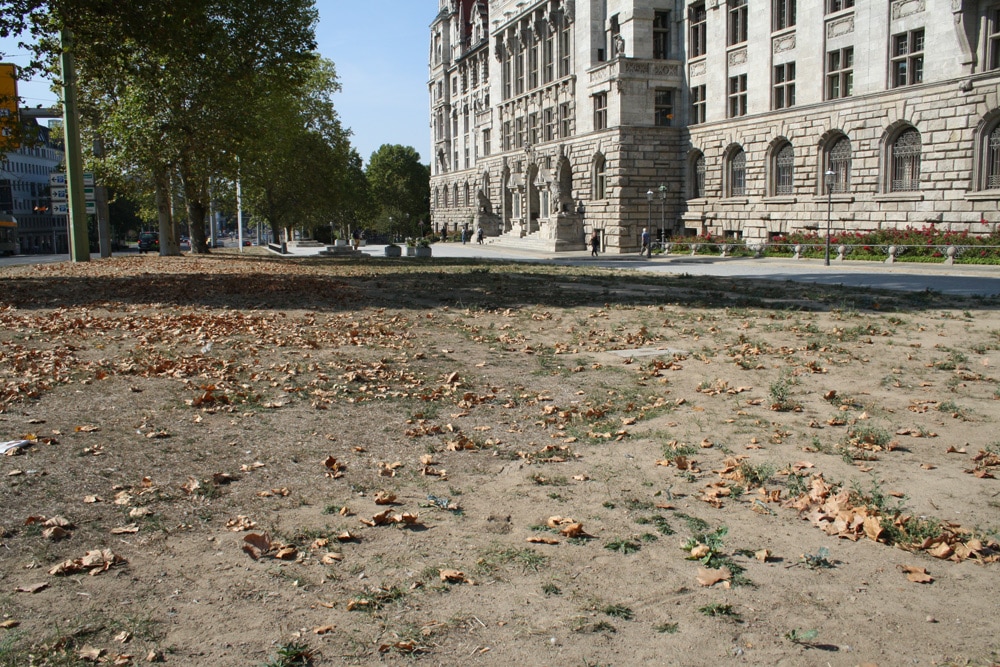 Verdorrte Wiese vorm Neuen Rathaus. Foto: Ralf Julke