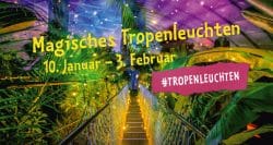 Das Magische Tropenleuchten kehrt zurück © Zoo Leipzig