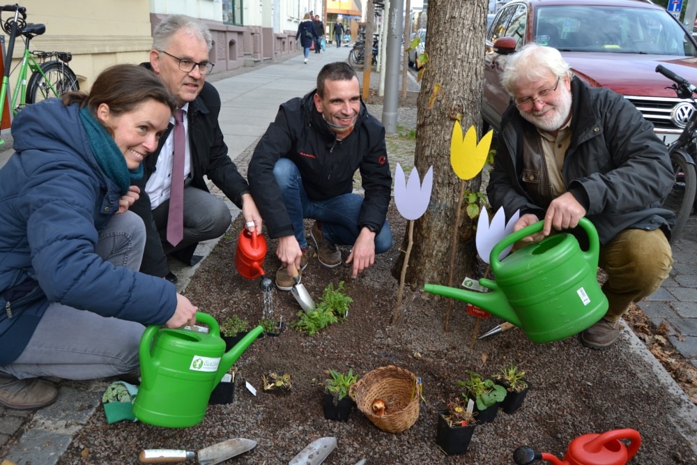 Sparkasse Leipzig und Ökolöwen bepflanzen gemeinsam erste Baumscheibe in Schleußig (Christiane Heinichen, Leiterin Grüne Stadtgestaltung Ökolöwen, Harald Redepenning, Filialleiter Sparkasse Leipzig Schleußig, Nico Singer, Geschäftsführer Ökolöwen, Tobias Hönemann, Bürgerverein Leipzig Schleußig e.V.(v.l.n.r.). Foto: Ökolöwe