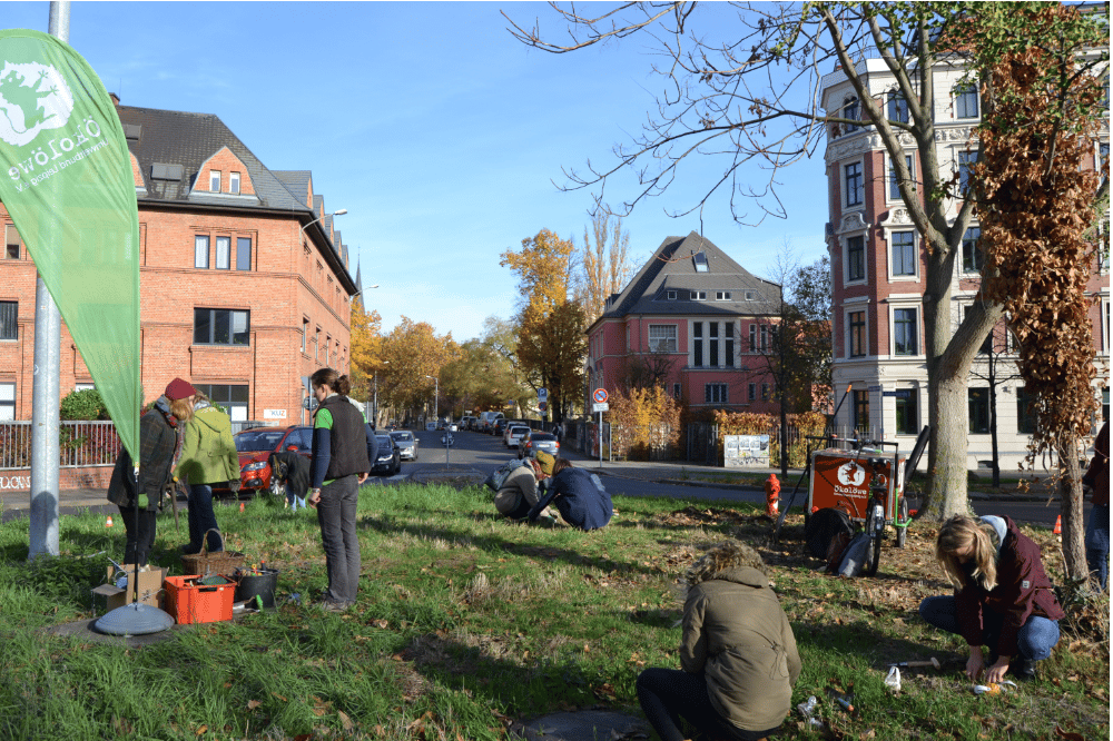 Frühblüher stecken. Quelle: Ökolöwe - Umweltbund Leipzig e.V.