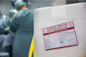 Seit 25 Jahren werden am Universit&auml;tsklinikum Leipzig Organe transplantiert. Foto: Stefan Straube/UKL