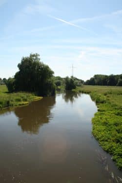 Weiße Elster bei Schkeuditz. Foto: Ralf Julke