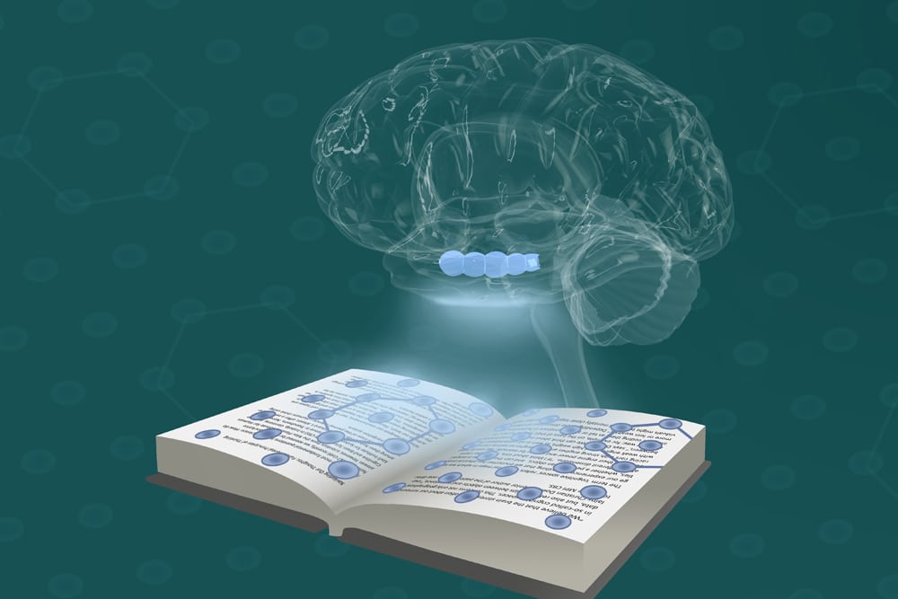 Die Wissenschaftler um Christian Doeller kombinierten ihre Ergebnisse zu einem Modell des Denkens. Foto: Ella Maru Studio & MPI CBS | Doellerlab