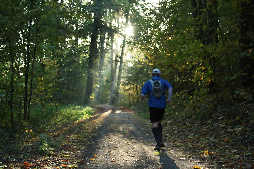 Jogger im Auenwald. Foto: Ralf Julke