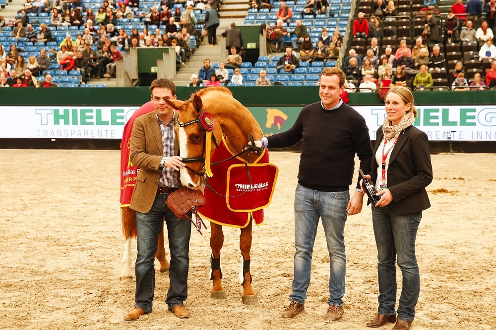 Starlights Last Hope hieß die Siegerin im PARTNER PFERD Freispring-Cup 2016. Foto: Hellmann