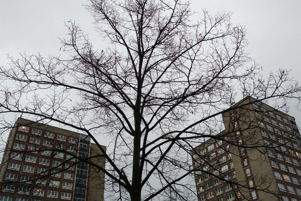 Kalender-These #2 - Januar 2019. Foto: MJA Leipzig e.V.