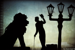 Amazing Shadows! das Schattenspektakel der Extraklasse kommt am 03.01.2019 in die Kongresshalle am Zoo nach Leipzig. Quelle: Reset Produktion