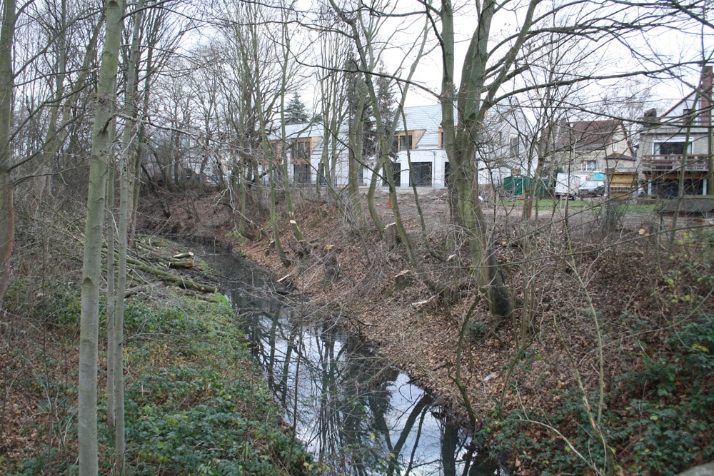 Die Alte Luppe mit den Bäumen des Sachsenforst und der direkt angrenzenden Bebauung. Foto: Ralf Julke
