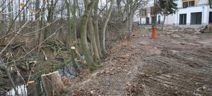 Abgeholzt und von Baufahrzeugen zerfahren: Gewässerrandstreifen an der Alten Luppe. Foto: Ralf Julke