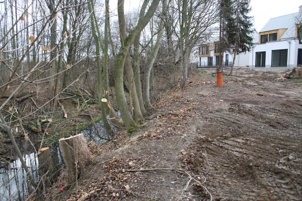 Abgeholzt und von Baufahrzeugen zerfahren: Gewässerrandstreifen an der Alten Luppe. Foto: Ralf Julke