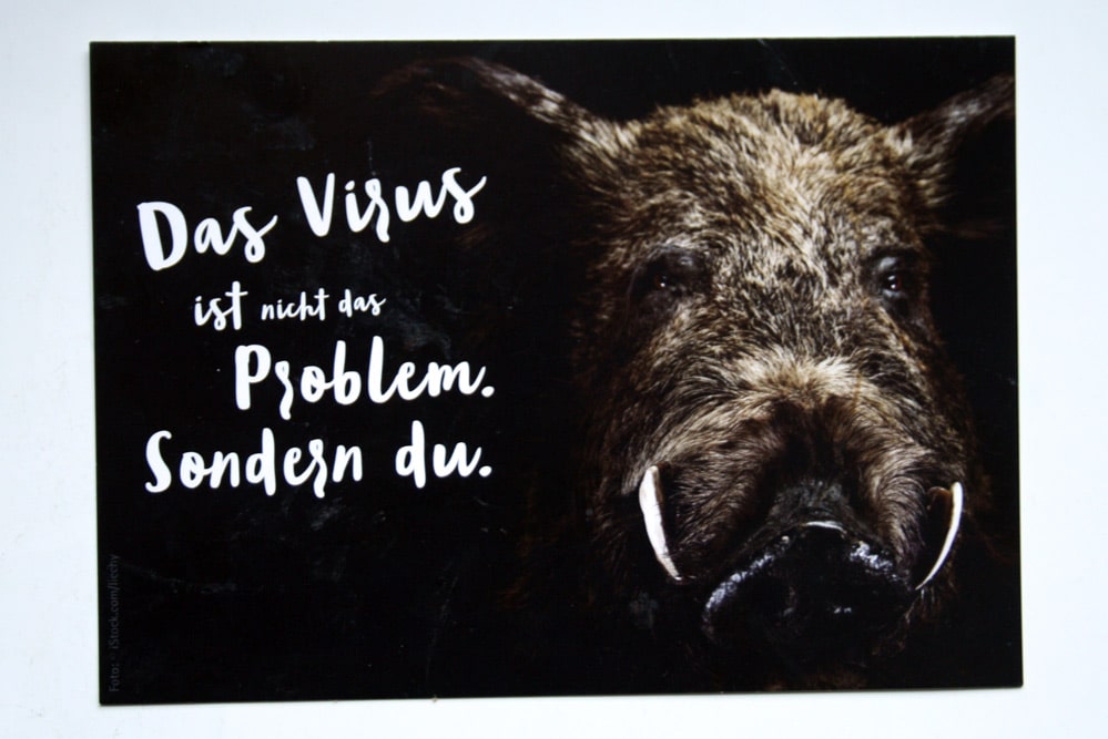 Die etwas seltsam formulierte Postkarte zur ASP. Motiv: Freistaat Sachsen, SMS