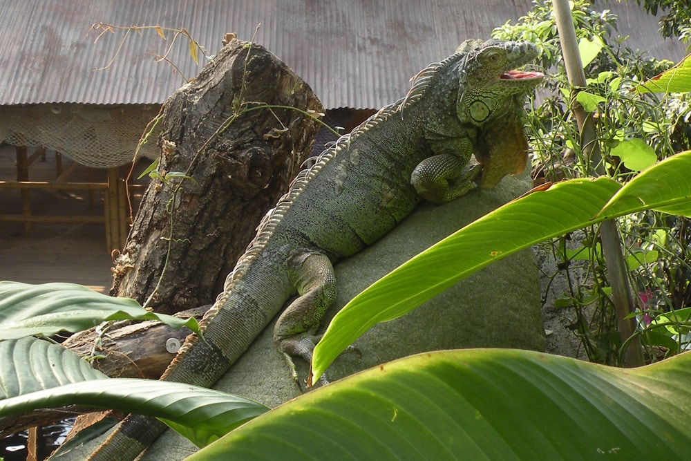 Der Sinn des Lebens. Foto: Marko Hofmann