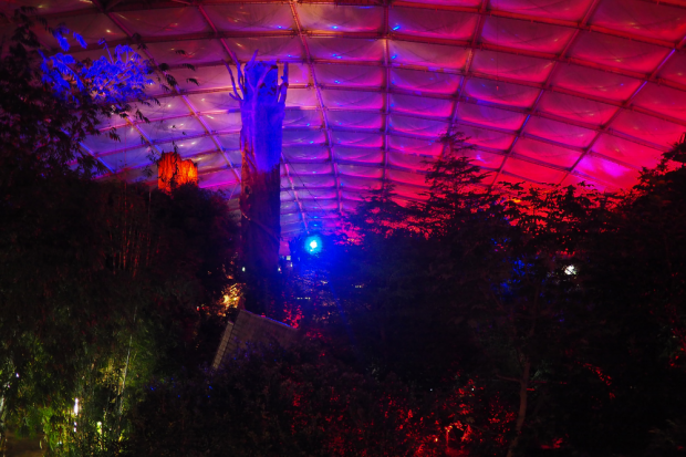 Bergfest beim Tropenleuchten &copy; Zoo Leipzig