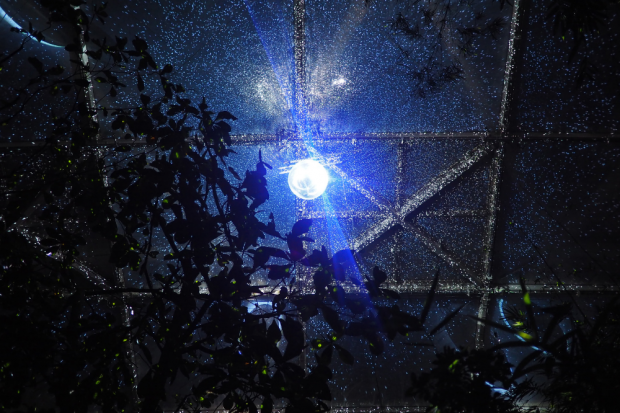 Diskokugel beim Magischen Tropenleuchten © Zoo Leipzig