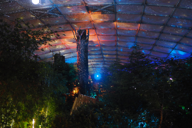 Magisches Tropenleuchten 2019 © Zoo Leipzig