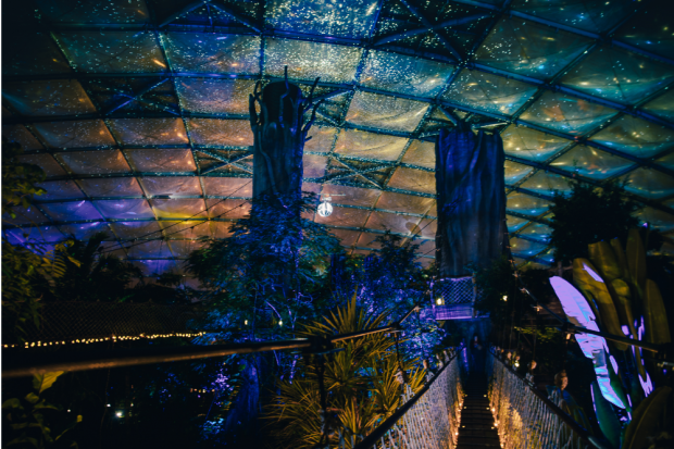 Magisches Tropenleuchten läßt Gondwanaland erstahlen © Zoo Leipzig