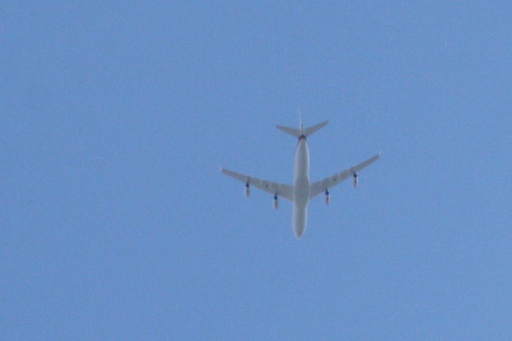 Großer Flieger auf Abkürzung. Foto: Ralf Julke
