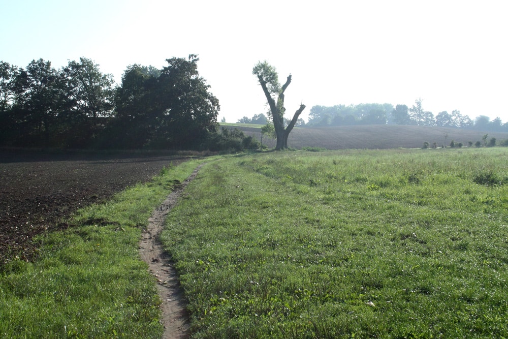 FFH-Gebiet Parthenaue. Foto: Ralf Julke