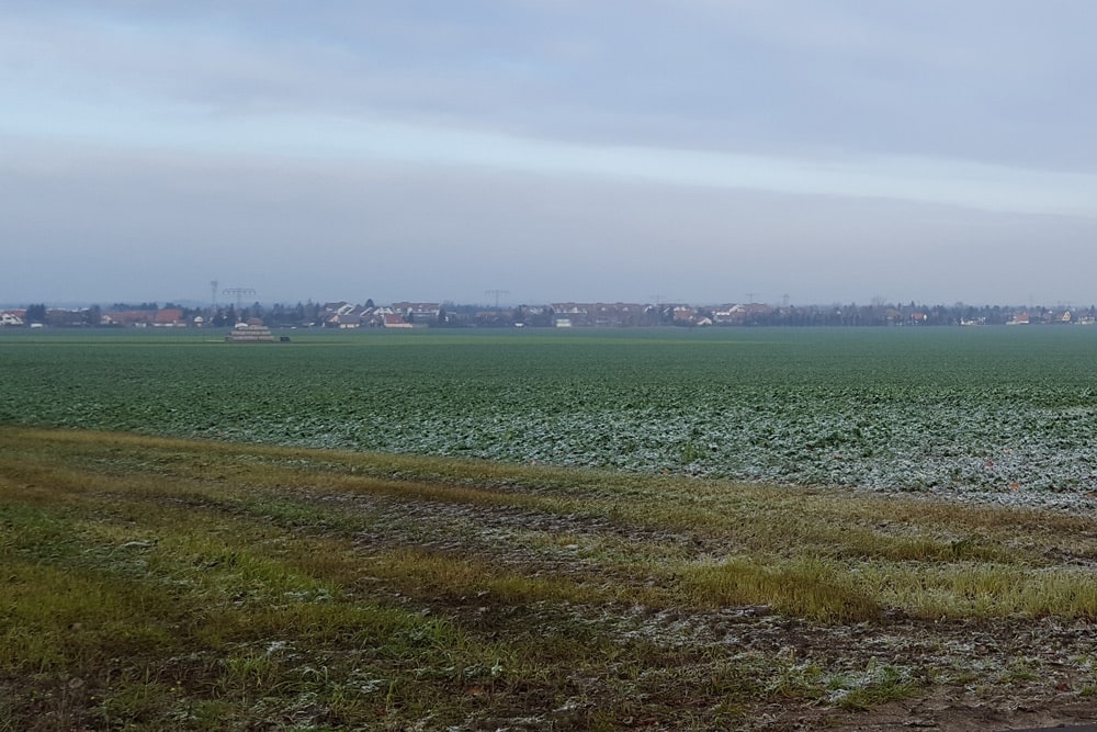 Feld bei Rückmarsdorf. Foto: Marko Hofmann