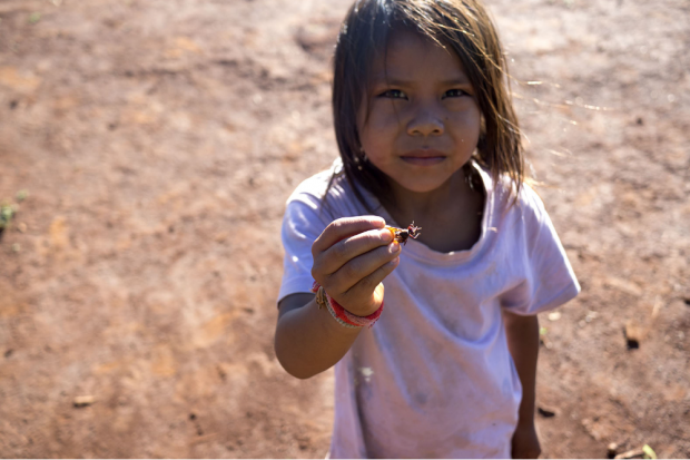 Das Leid unter den Guaraní-Kaiowá ist groß. Manche Kinder müssen sich von Insekten ernähren. Quelle: BUND Leipzig