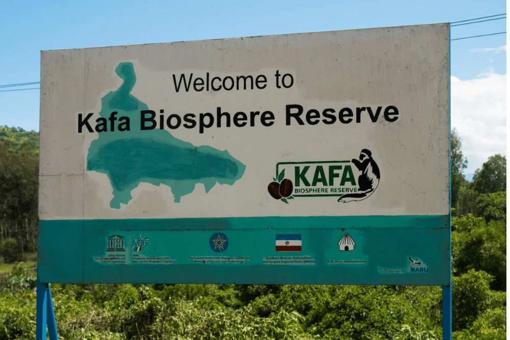 Foto: Dr. Fabian Haas