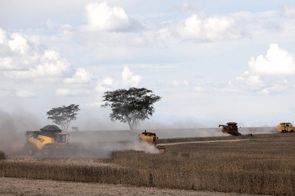 Gensojaernte in Mato Grosso do Sul. Quelle: BUND Leipzig