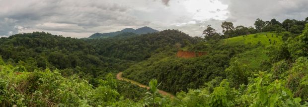 Foto: Dr. Fabian Haas