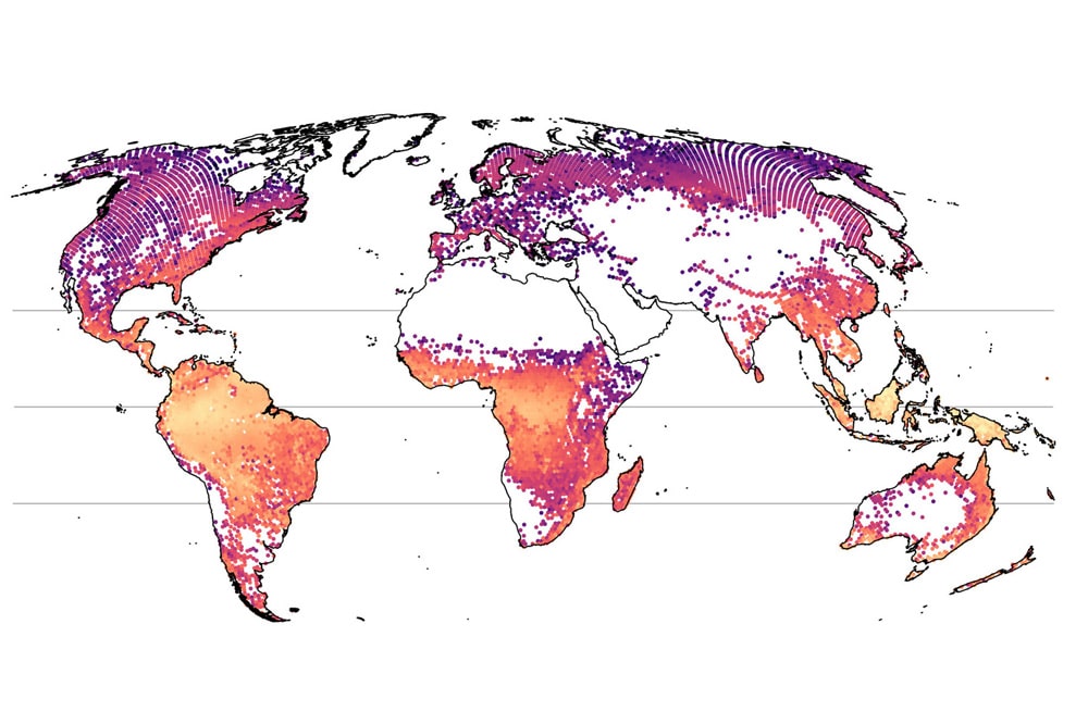 Die erste weltweite Karte der Baumarten-Vielfalt, erstellt mithilfe des neuen Modells. Foto: Petr Keil und Jonathan Chase