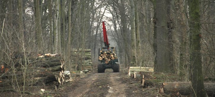 Schweres Gerät im Waldgebiet „Der Kanitzsch“. Foto: NuKLA e.V.