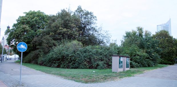 Jetzt noch ein Rückzugsort für Nistvögel:_die Brache zwischen Windmühlenstraße und Brüderstraße. Foto: Ralf Julke