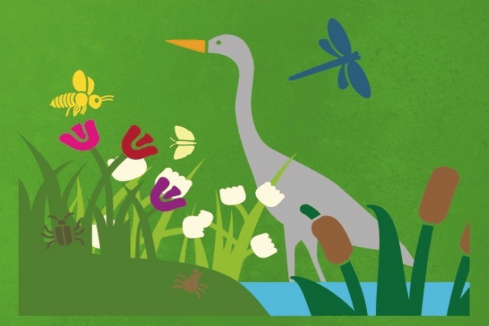 Auszug Flyer. Quelle: Uferleben Störmthaler See e.V.