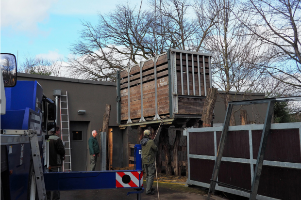 Verladungssituation bei Nashornkuh Nandi © Zoo Leipzig