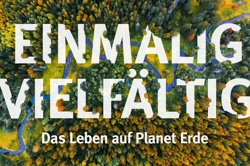 Leider noch kein Buch: Biodiversität und das Forschungszentrum iDiv stehen im Fokus des Unibundforums 2019. Foto: Stefan Bernhardt, iDiv