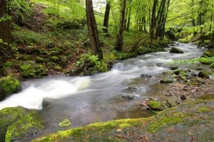 Im Fluss: Unverbautes Gewässer im Erzgebirge. Foto: Uwe Schroeder