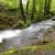 Im Fluss: Unverbautes Gewässer im Erzgebirge. Foto: Uwe Schroeder