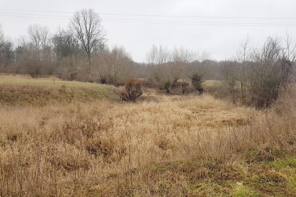 Der alte Luppe-Verlauf ist im Gelände noch sehr gut zu sehen. Foto: NuKLA e.V